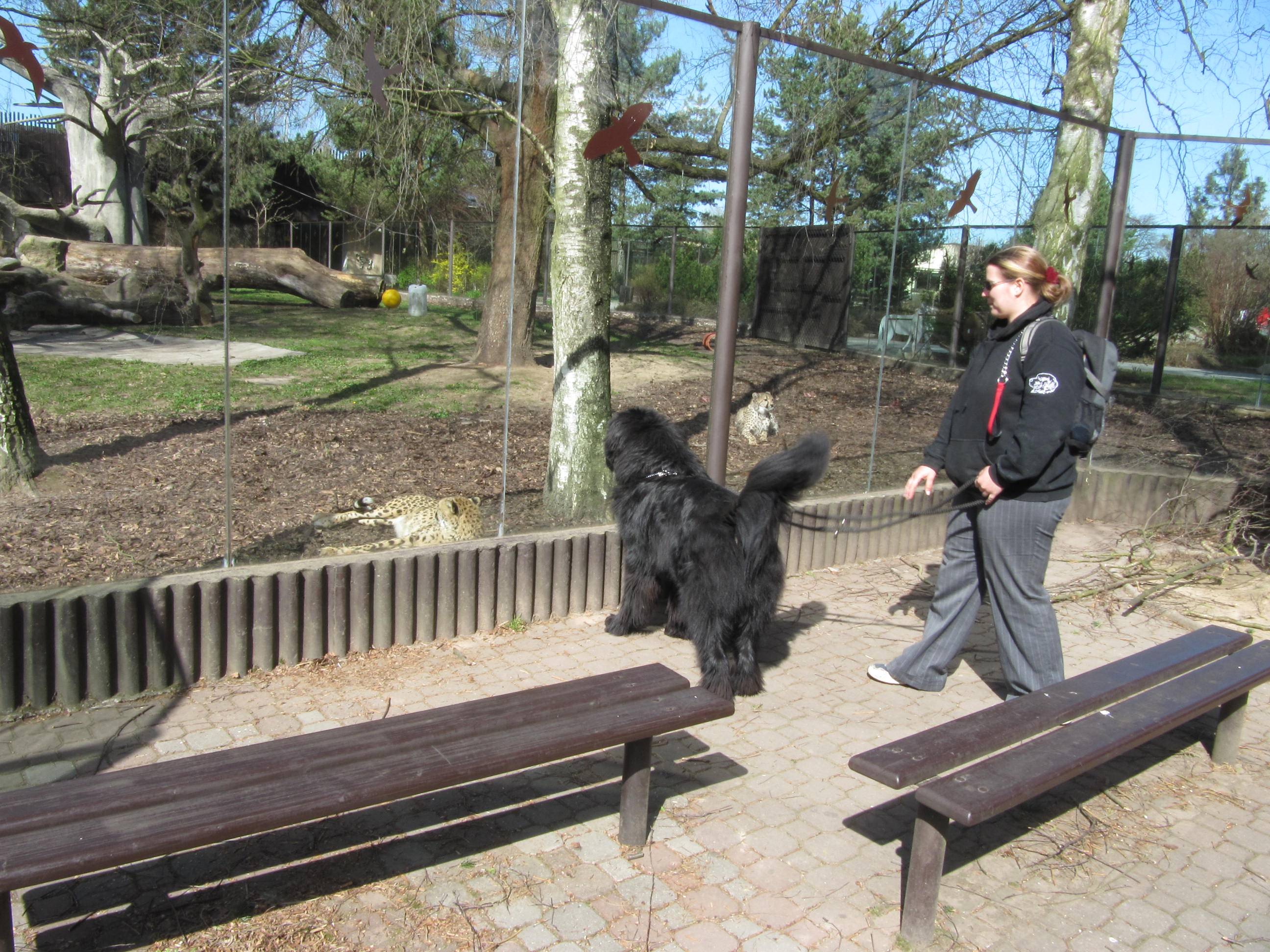 zoo dk (2)